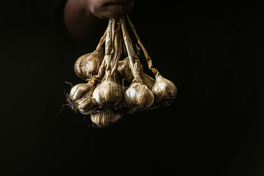 Still Life of Hill Garlic