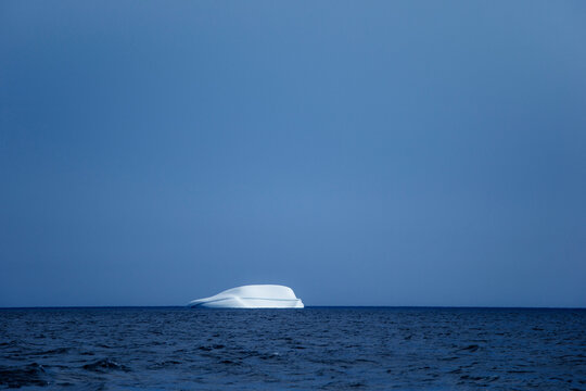 Icebergs floating in the melting sea ice in the Davis Strait.