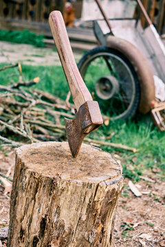 Rustic Ax on the backyard