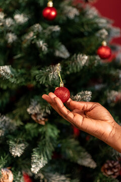 Christmas Tree 