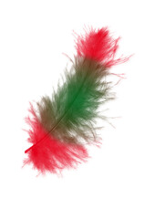 Colored feathers background - high resolution