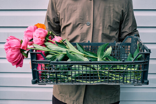 Fresh cut flowers
