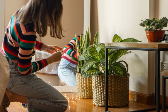 decorating home with plants