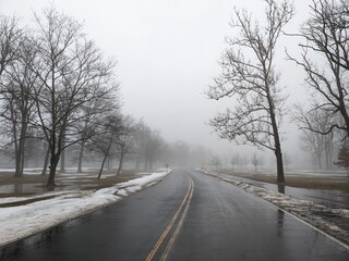 Fototapeta na wymiar Winter misty park