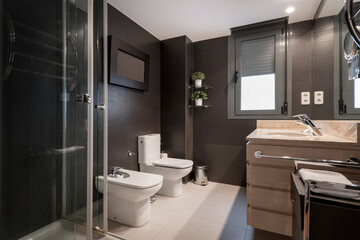 Modern restroom with dark brown tiled walls, shower, white toilet bowls and cream marble countertop in a vacation rental apartment