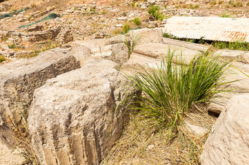Sceneries of The Agora at Segesta Archaeological Park in Trapani, Sicily, Italy.