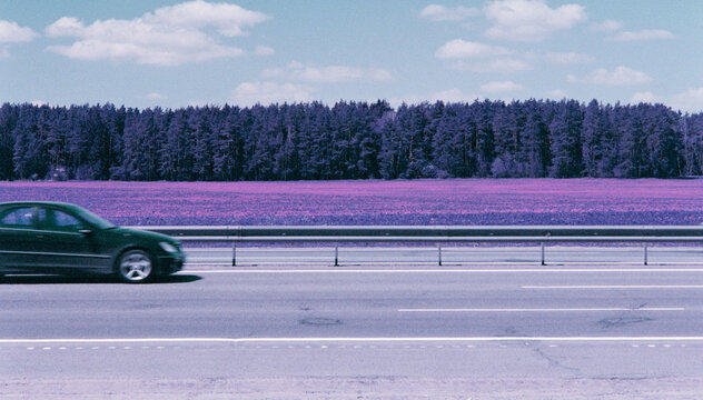 Infrared nature: violet unreal spring road car trip