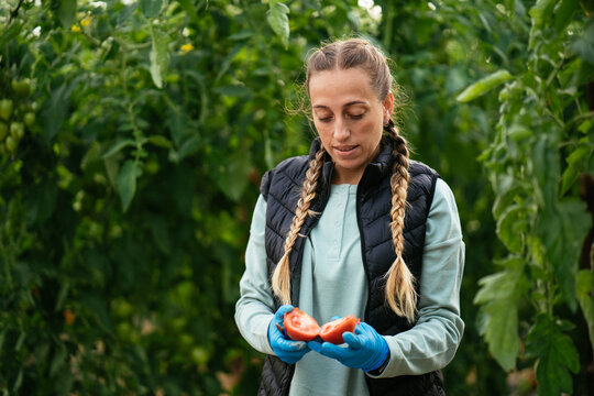 Woman with cut tomato in garden