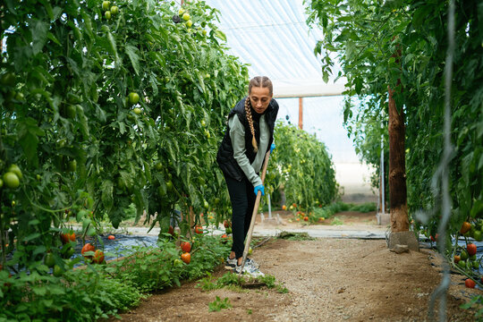 Woman raking grass in greenhouse