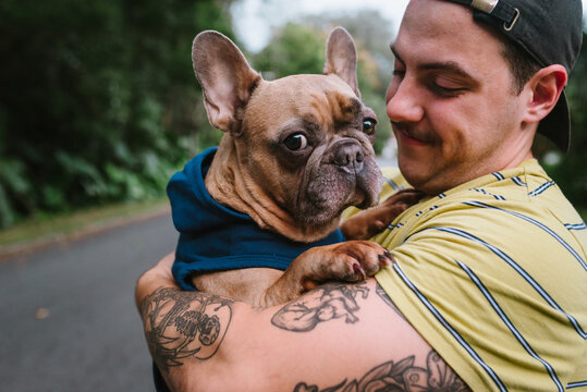 Cute Frenchie held by a tattooed man