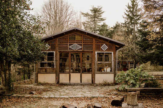 Cabin in the woods off grid