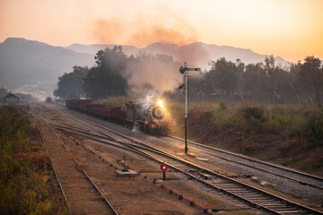 A steam train passing a  thicket of trees and bushes