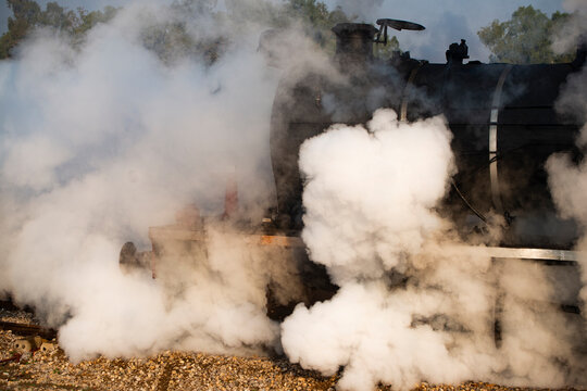 Veiled in Steam!