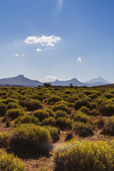 landscape with blue sky