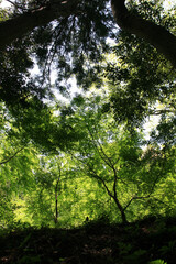 北九州の景色　秋吉台　千仏鍾乳洞　関門海峡