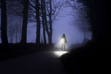 A man with a torch in a forest at night