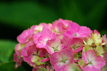 神戸須磨離と海釣り公園の景色