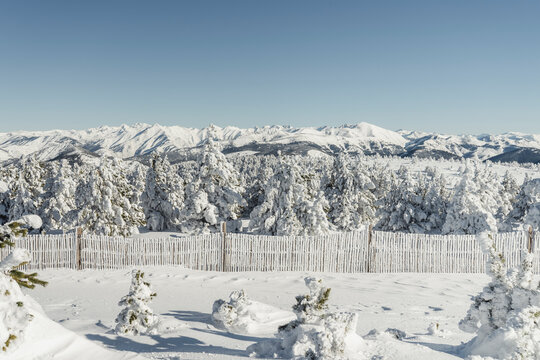 Snow fence
