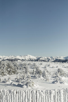 Snow fence