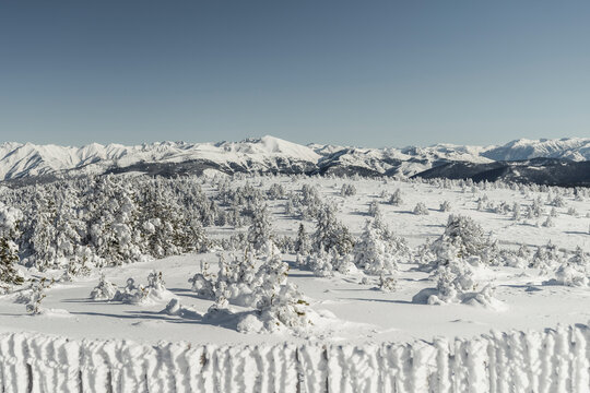 Snow fence