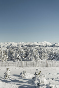 Snow fence