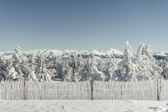 Snow fence