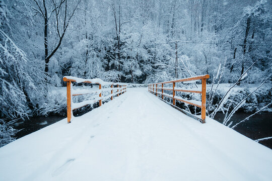 Road In Forets