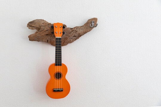 Ukulele Guitar handing on curved  driftwood rack 
