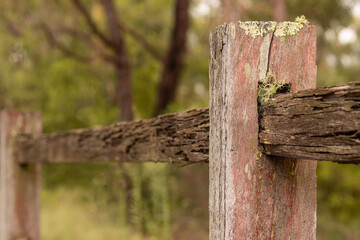 old wooden fence