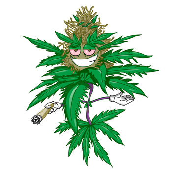 Weed