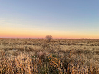 West Texas meadow at dusk