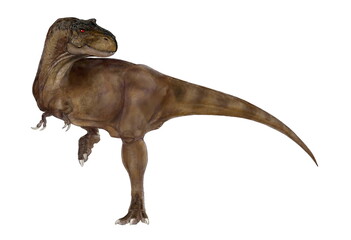 恐竜　ダスプレトサウルスのイラスト。この肉食恐竜の化石は白亜紀後期のアメリカ、アルバータ州やモンタナ州の地層から発見されている。のちの時代のティラノサウルスと近縁であり、食物連鎖の頂点に位置した捕食者である。大型種であり、同時代のケラトプス科やハドロサウルス科の比較的大型の恐竜を捕食するだけのスケールを持っていたと推定される。唇の有無について特徴的な仮説がある。 - obrazy, fototapety, plakaty