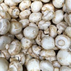 Organic shiitake mushrooms displayed at a market stand