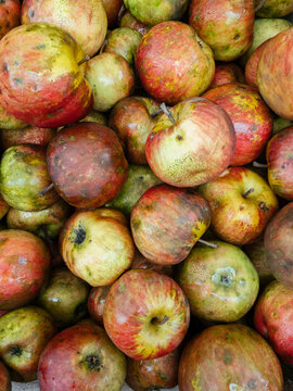 Unpreserved apples
