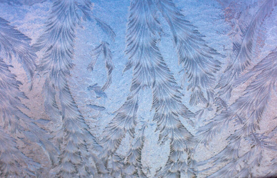 Frozen pink and blue