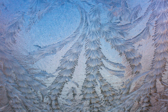 Frozen