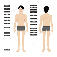 若いアジア人男性の下着姿の脱毛エステの全身の箇所指示白バックのイメージイラスト図