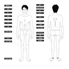 若いアジア人男性の下着姿の脱毛エステの全身の箇所指示白バックの線画のイメージイラスト図