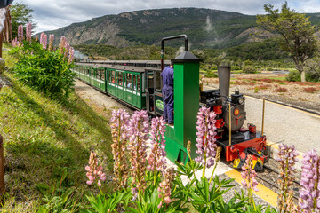 Argentina, Ushuaia, the famous train of the end of the world  crosses the National Park of  Tierra...