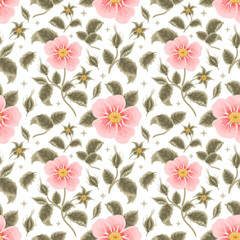 Vintage Aesthetic Hand Drawn Shabby Chic Pink Rosa Canina Flower Seamless Pattern