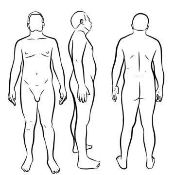 Man body anatomy, front, side and back standing human poses. Vector Illustration.