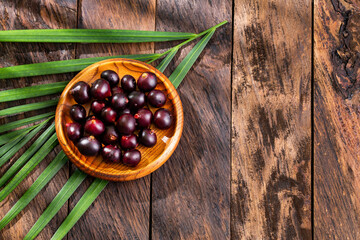 Euterpe oleracea - Fresh organic acai berries