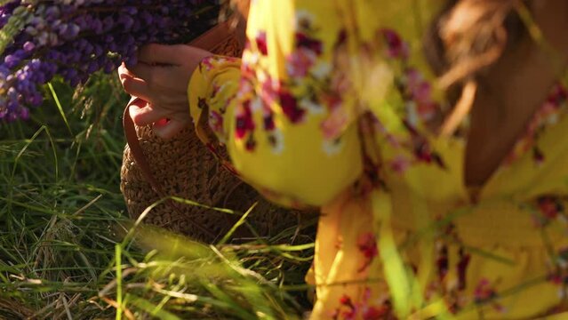 A woman in a yellow dress picks up a crocheted basket bag with purple lupine bouquet flowers in her hands. The concept of enjoying the blooming season.
