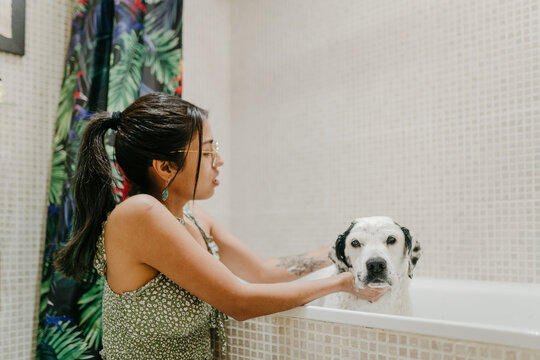 Washing a dog in a bath