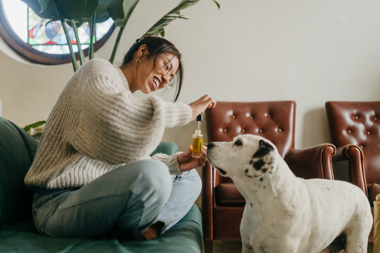 Dog recieving medicine