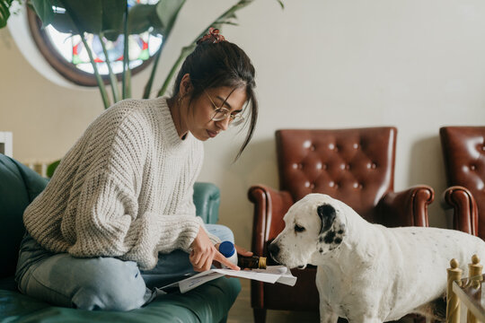 Senior dog care