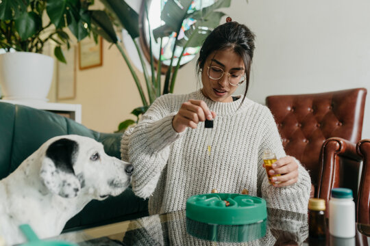 Owner adding vitamins to dog food