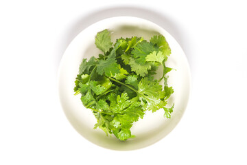 Fototapeta premium Coriander