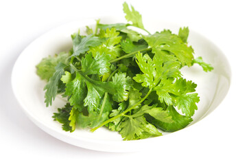 Coriander