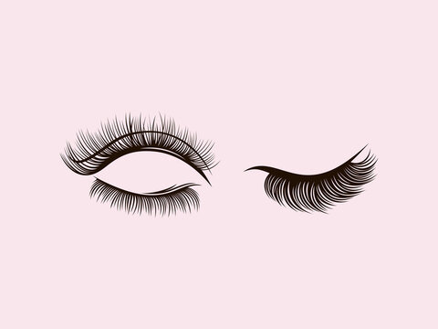 Eyelash extension logo Vector illustration
